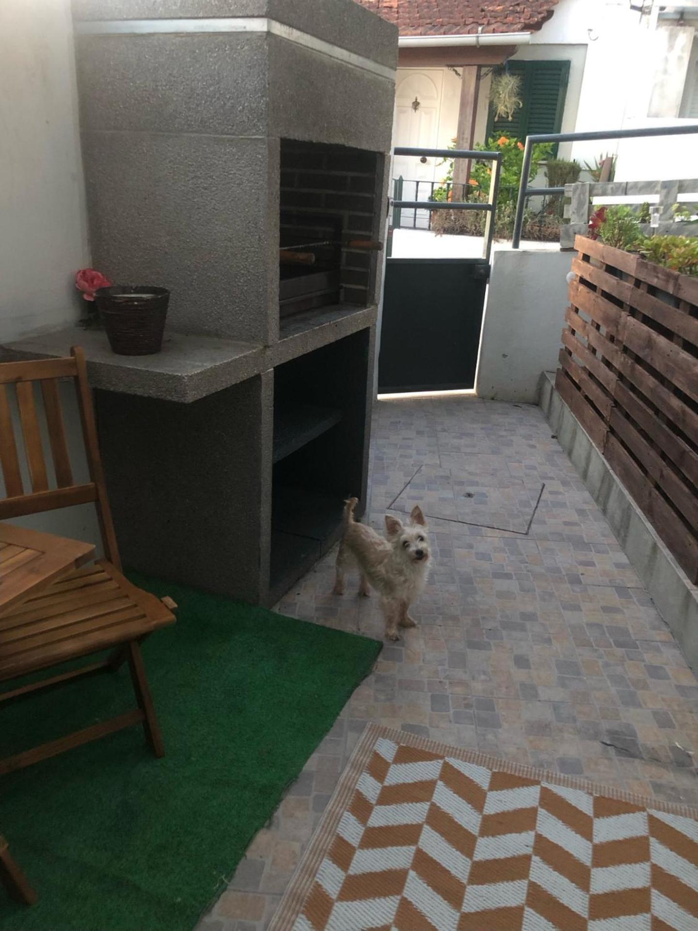 Cantinho Da Susana Coimbra Luaran gambar